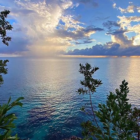 Oceanfront Condo W/ Free Parking + High Speed Wifi Негрил Экстерьер фото