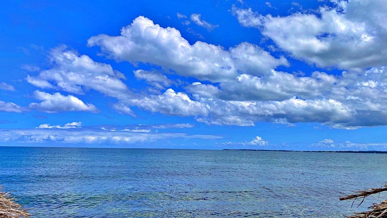 Oceanfront Condo W/ Free Parking + High Speed Wifi Негрил Экстерьер фото